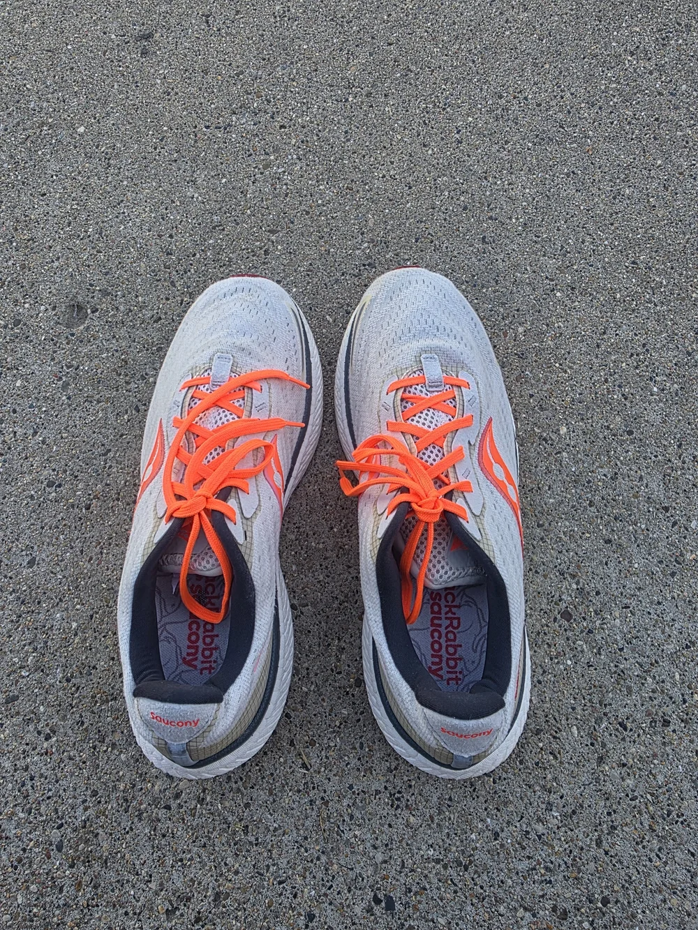 Saucony  Sneaker Women Size 10